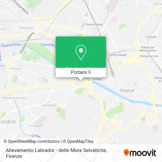 Mappa Allevamento Labrador - delle More Selvatiche