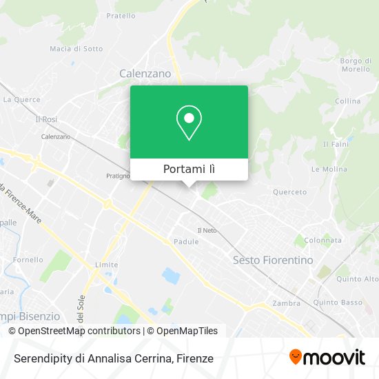 Mappa Serendipity di Annalisa Cerrina