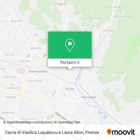 Mappa Cipria di Vasilica Lupulescu e Laura Allori