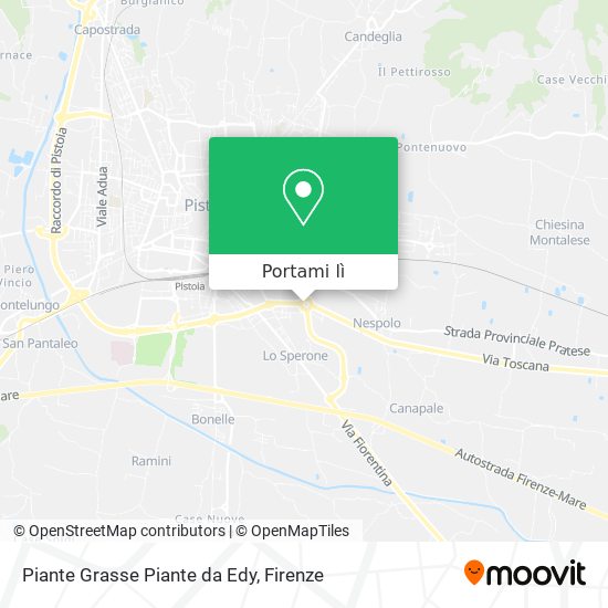 Mappa Piante Grasse Piante da Edy