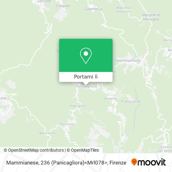 Mappa Mammianese, 236 (Panicagliora)<Mrl078>