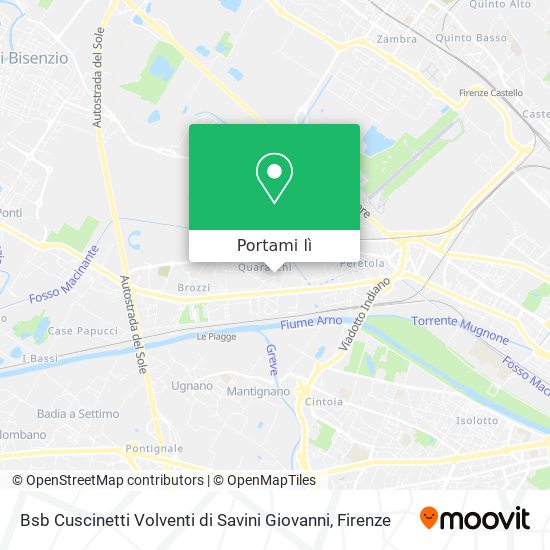 Mappa Bsb Cuscinetti Volventi di Savini Giovanni