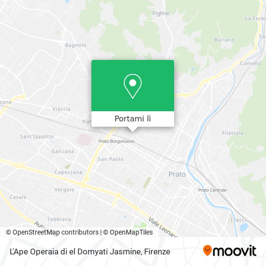 Mappa L'Ape Operaia di el Domyati Jasmine