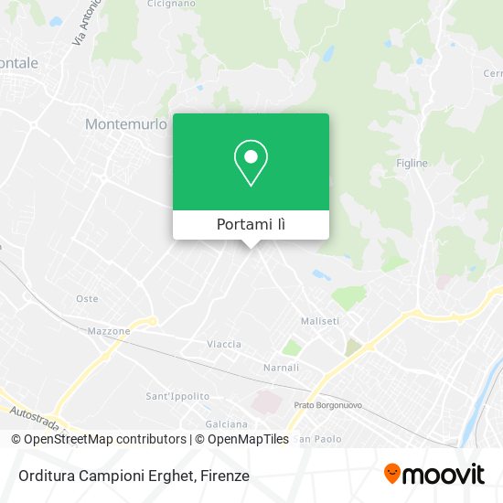 Mappa Orditura Campioni Erghet