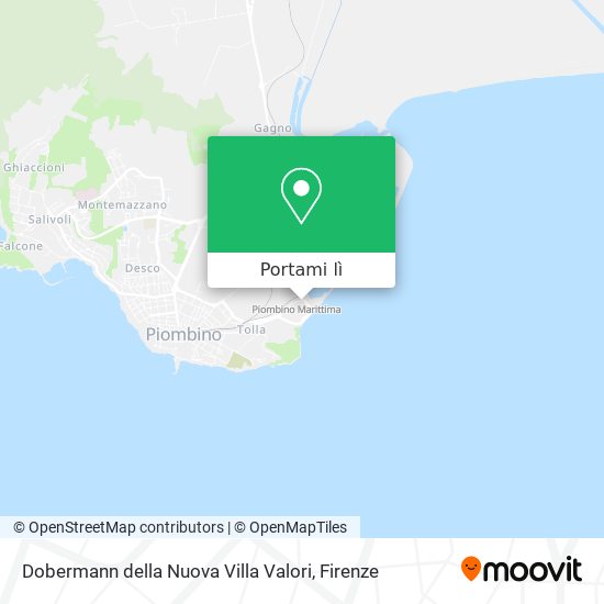 Mappa Dobermann della Nuova Villa Valori