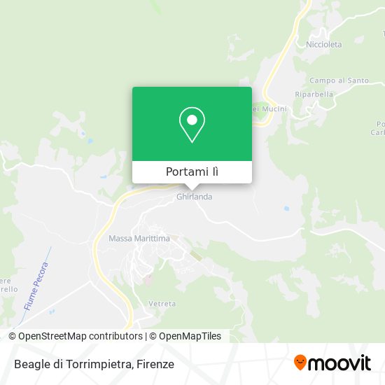 Mappa Beagle di Torrimpietra
