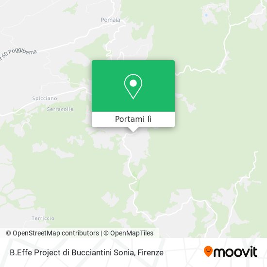 Mappa B.Effe Project di Bucciantini Sonia