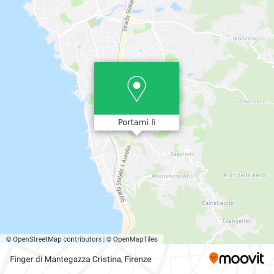 Mappa Finger di Mantegazza Cristina
