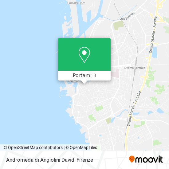Mappa Andromeda di Angiolini David