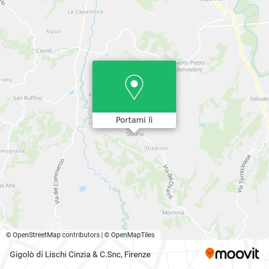 Mappa Gigolò di Lischi Cinzia & C.Snc