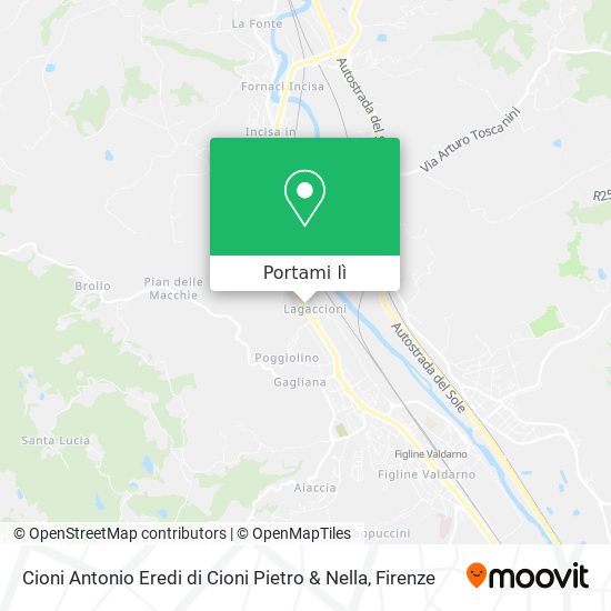Mappa Cioni Antonio Eredi di Cioni Pietro & Nella