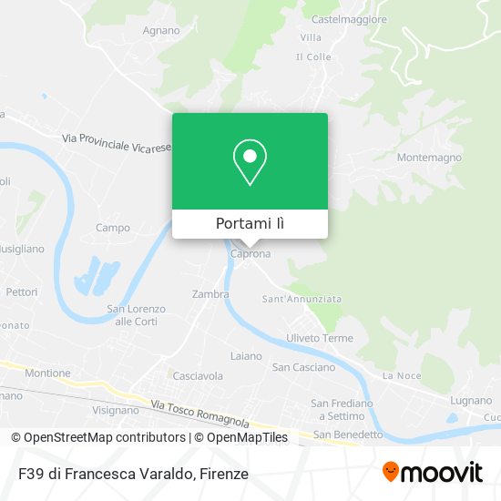 Mappa F39 di Francesca Varaldo
