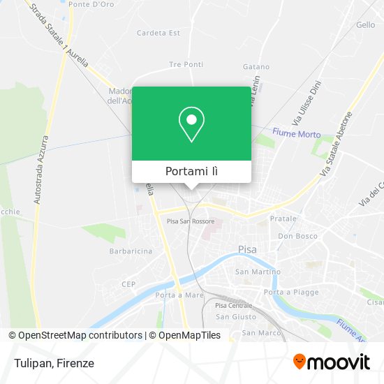 Mappa Tulipan