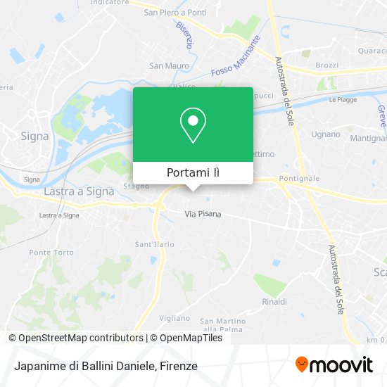 Mappa Japanime di Ballini Daniele