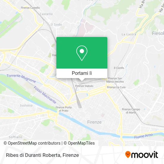 Mappa Ribes di Duranti Roberta