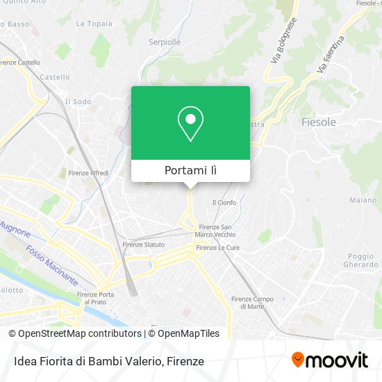 Mappa Idea Fiorita di Bambi Valerio