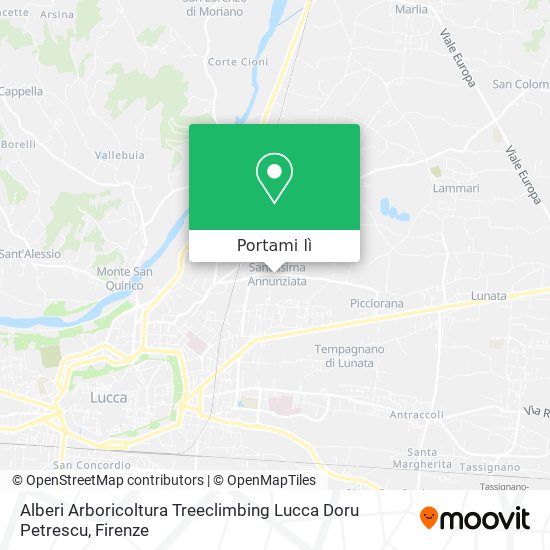 Mappa Alberi Arboricoltura Treeclimbing Lucca Doru Petrescu