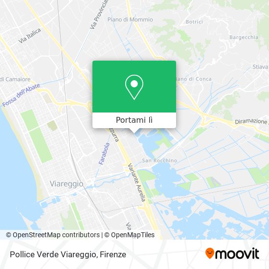 Mappa Pollice Verde Viareggio