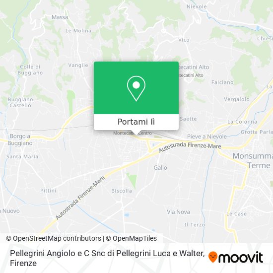 Mappa Pellegrini Angiolo e C Snc di Pellegrini Luca e Walter