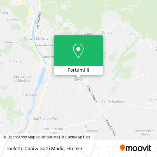 Mappa Toelette Cani & Gatti Marlia