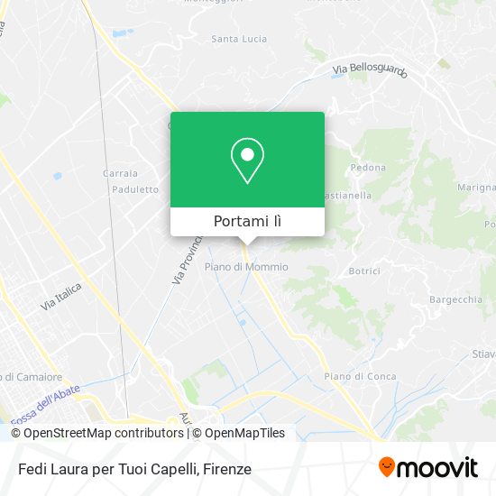 Mappa Fedi Laura per Tuoi Capelli