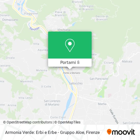 Mappa Armonia Verde: Erbi e Erbe - Gruppo Aloe