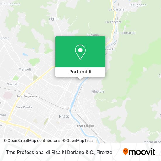 Mappa Tms Professional di Risaliti Doriano & C.