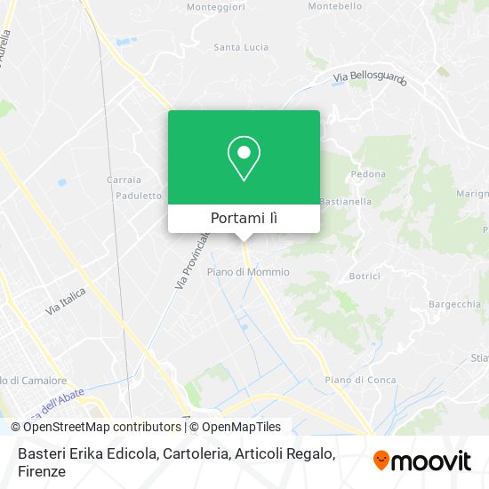Mappa Basteri Erika Edicola, Cartoleria, Articoli Regalo