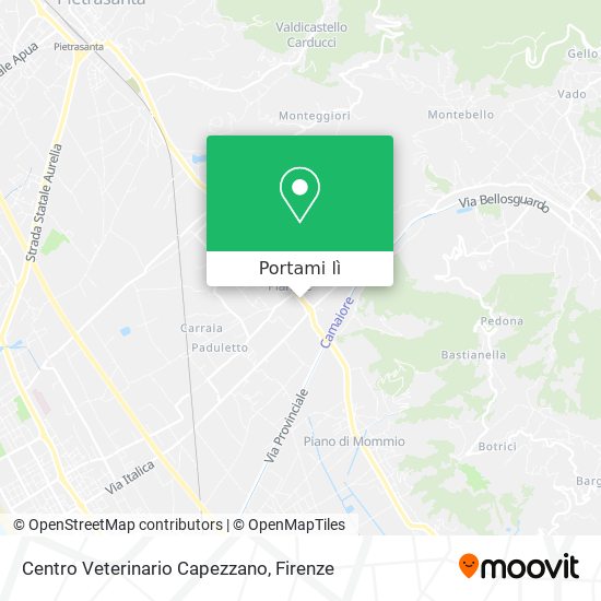 Mappa Centro Veterinario Capezzano