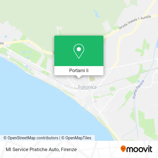 Mappa Ml Service Pratiche Auto