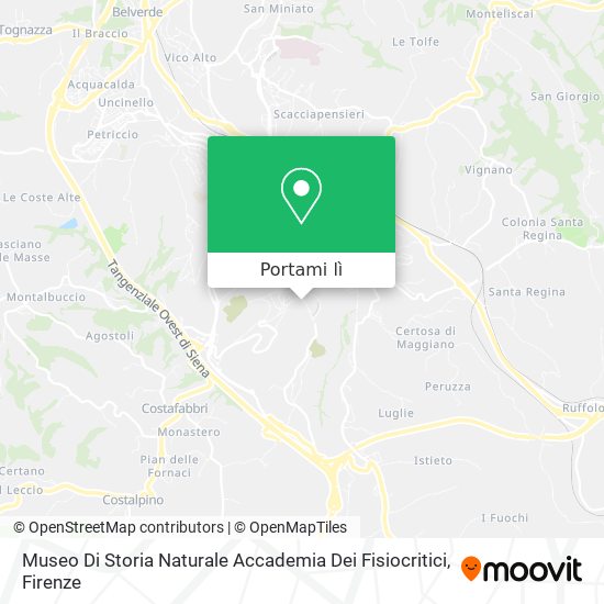 Mappa Museo Di Storia Naturale Accademia Dei Fisiocritici