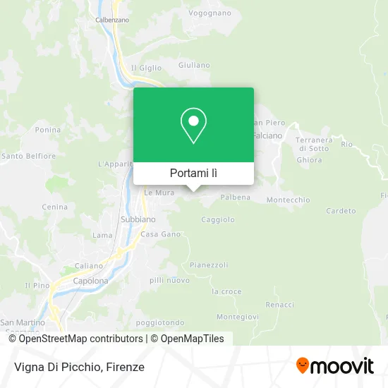 Mappa Vigna Di Picchio