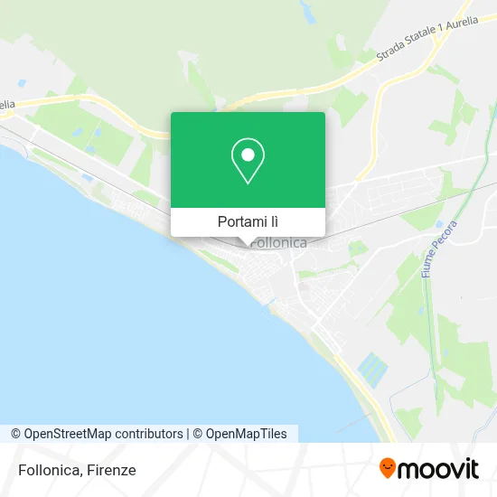 Mappa Follonica