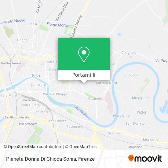 Mappa Pianeta Donna Di Chicca Sonia
