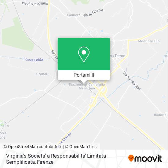 Mappa Virginia's Societa' a Responsabilita' Limitata Semplificata