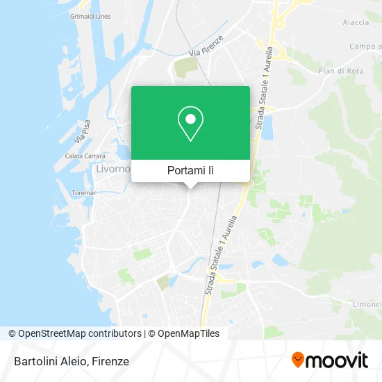 Mappa Bartolini Aleio