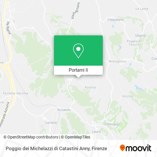Mappa Poggio dei Michelazzi di Catastini Anny