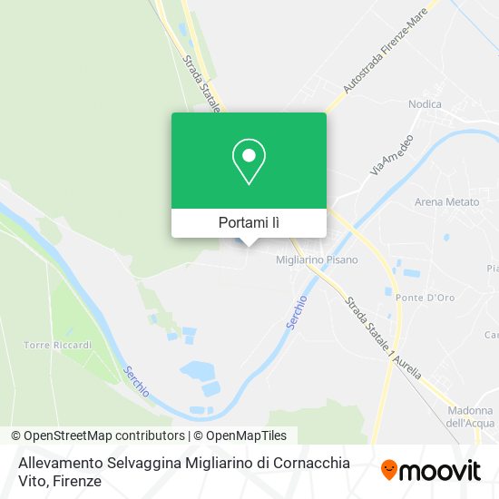 Mappa Allevamento Selvaggina Migliarino di Cornacchia Vito