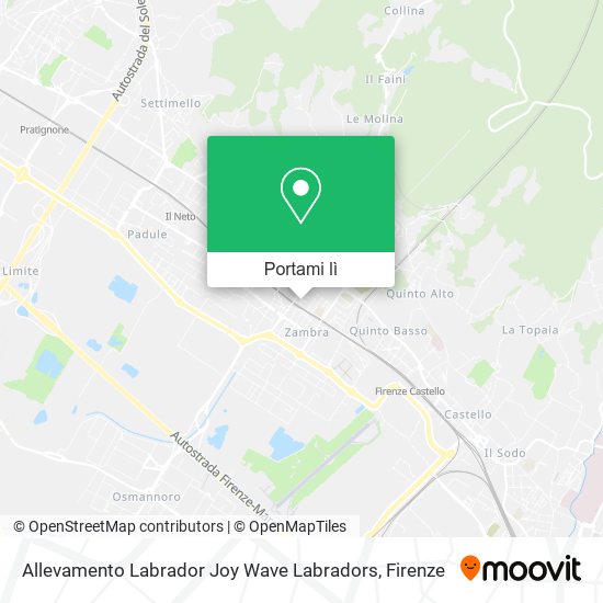 Mappa Allevamento Labrador Joy Wave Labradors