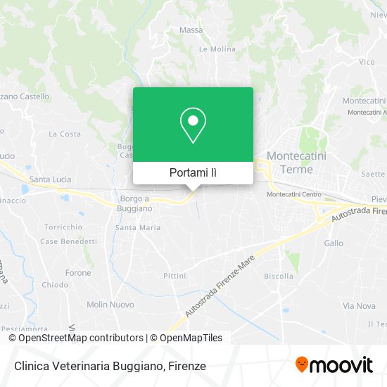 Mappa Clinica Veterinaria Buggiano