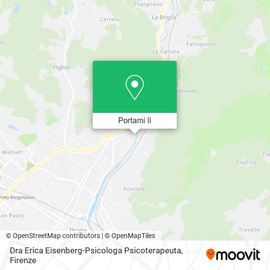 Mappa Dra Erica Eisenberg-Psicologa Psicoterapeuta