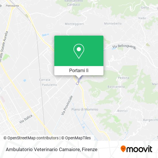 Mappa Ambulatorio Veterinario Camaiore