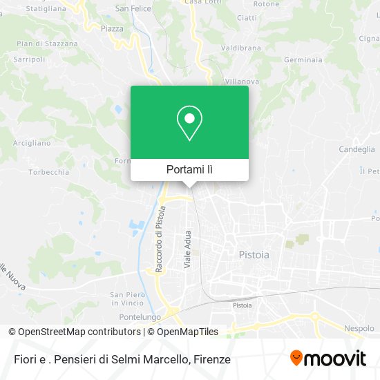 Mappa Fiori e . Pensieri di Selmi Marcello