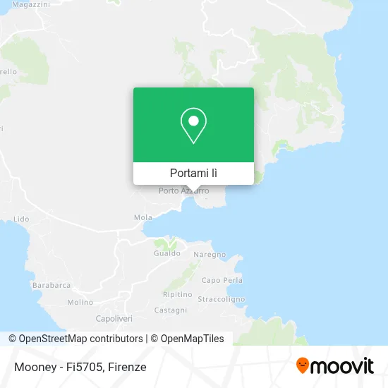 Mappa Mooney - Fi5705