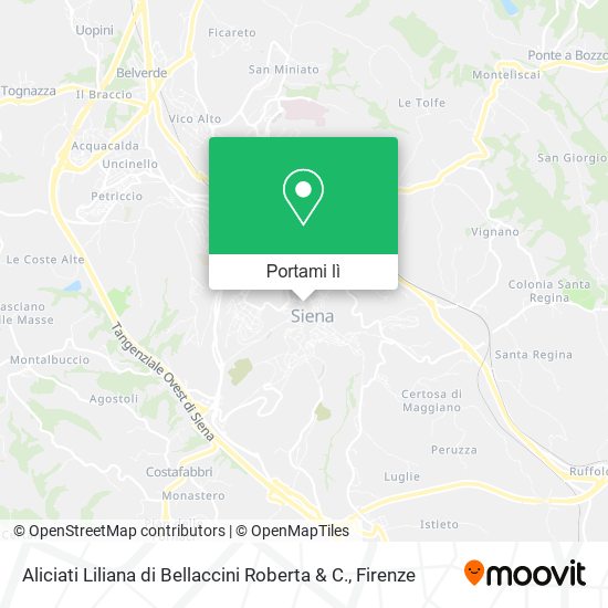 Mappa Aliciati Liliana di Bellaccini Roberta & C.