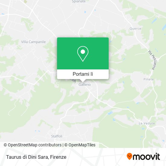 Mappa Taurus di Dini Sara
