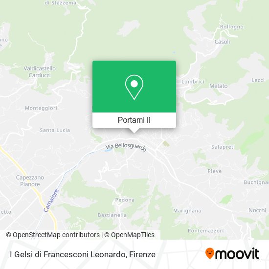 Mappa I Gelsi di Francesconi Leonardo