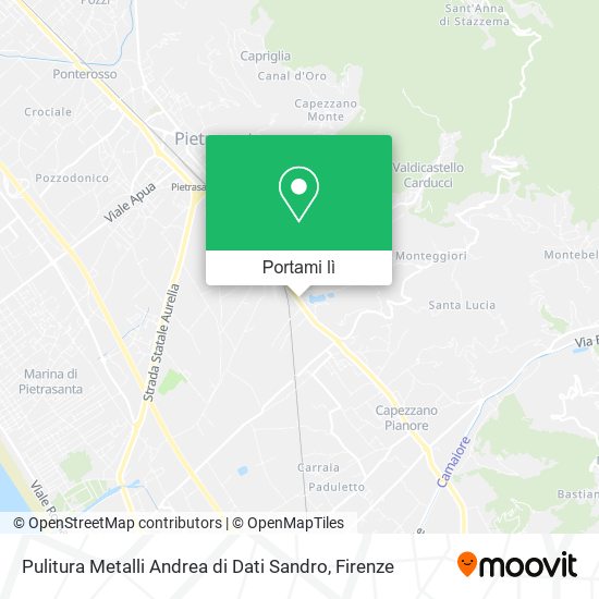 Mappa Pulitura Metalli Andrea di Dati Sandro