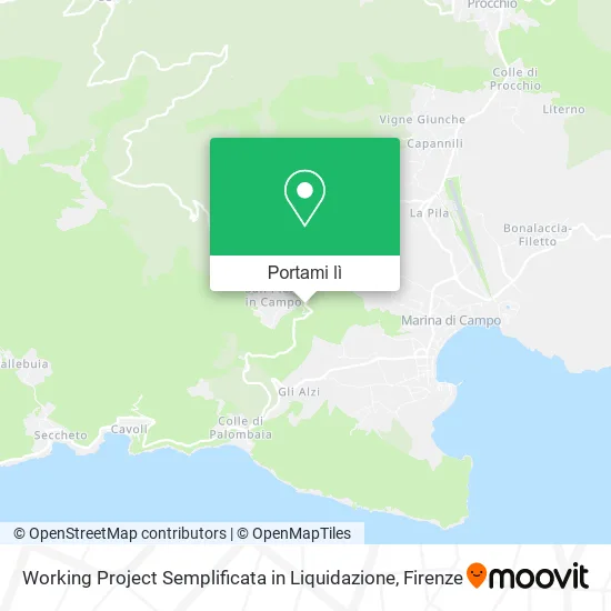 Mappa Working Project Semplificata in Liquidazione