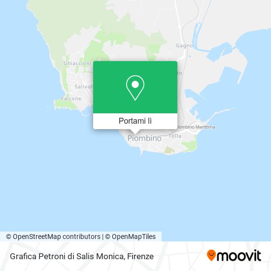 Mappa Grafica Petroni di Salis Monica